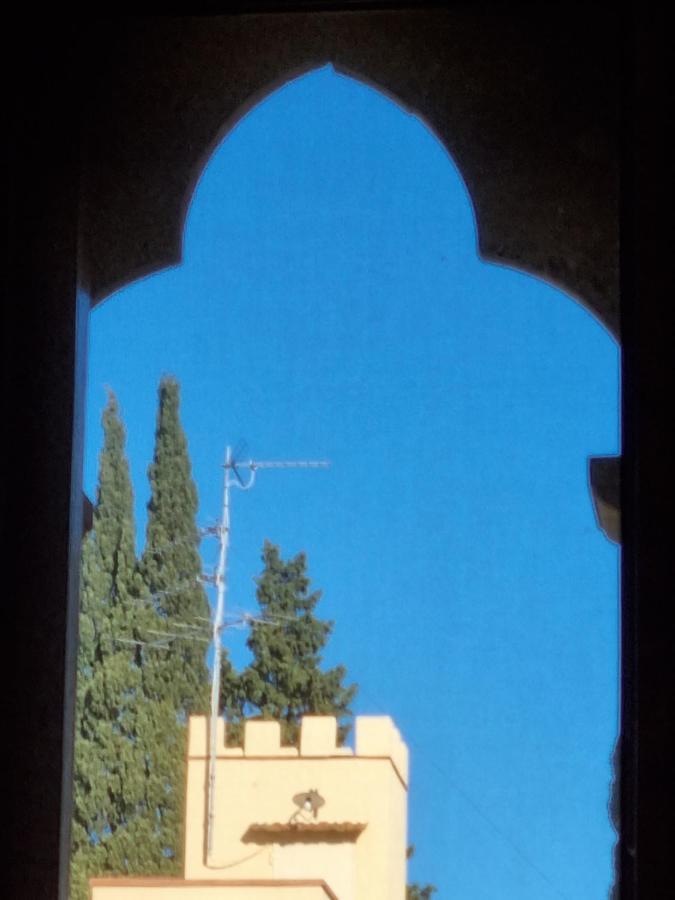 B&B Firenze 400 Bagian luar foto